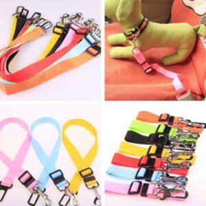 Fixed Polyester Leash Straps for Dogs